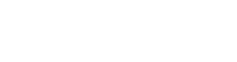Città di Venezia, Vela, Regata Storica